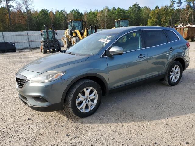 MAZDA CX-9 SPORT 2013 with VIN JM3TB2BA3D0424312 - Photo from auction
