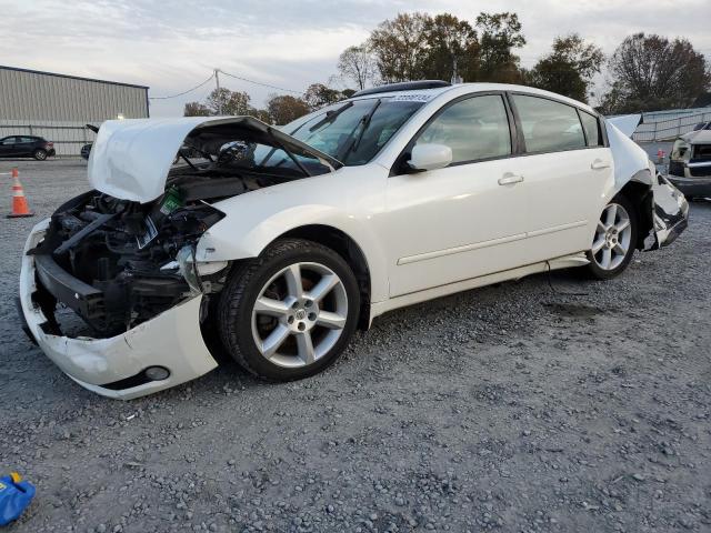 NISSAN MAXIMA SE 2004 with VIN 1N4BA41E64C892692 - Photo from auction
