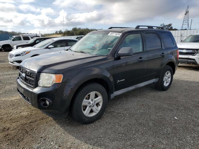 FORD ESCAPE HYB 2009 with VIN 1FMCU49359KB87609 - Photo from auction