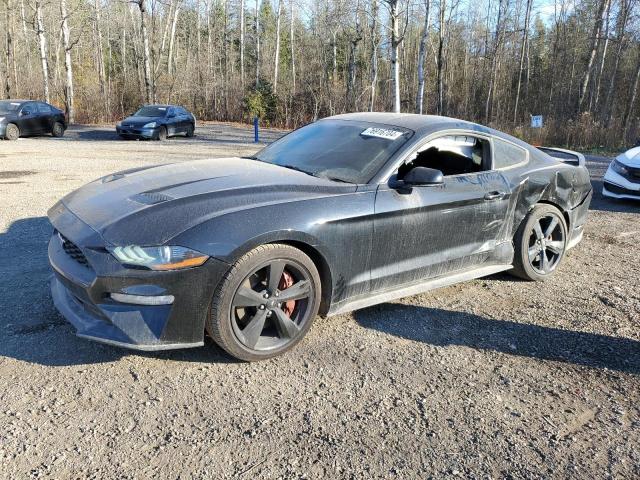FORD MUSTANG 2019 with VIN 1FA6P8TH3K5121266 - Photo from auction