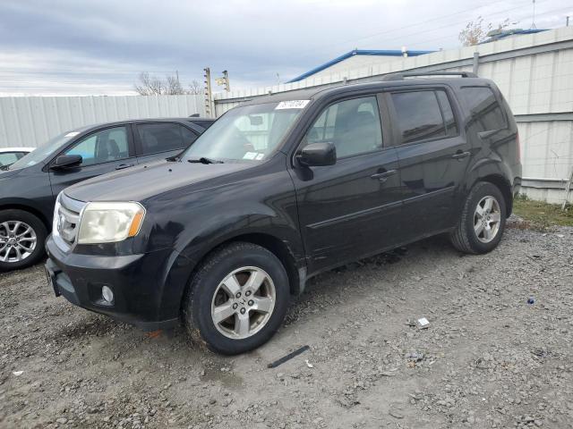 HONDA PILOT EXL 2009 z numerem VIN 5FNYF48559B018243 - Zdjęcie z aukcji