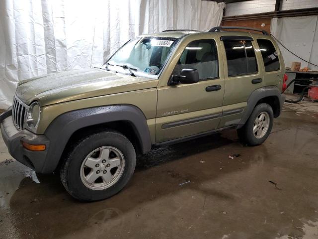 JEEP LIBERTY SP 2003 with VIN 1J4GL48KX3W717746 - Photo from auction