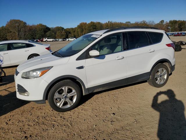 FORD ESCAPE SE 2013 with VIN 1FMCU0GX1DUD22399 - Photo from auction
