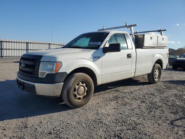 FORD F150 2013 with VIN 1FTMF1CM7DKG20004 - Photo from auction