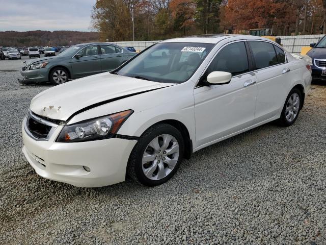 HONDA ACCORD EXL 2010 with VIN 5KBCP3F83AB013353 - Photo from auction