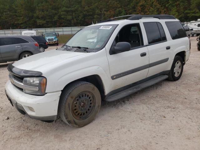 CHEVROLET TRAILBLAZE 2003 with VIN 1GNET16S236245063 - Photo from auction