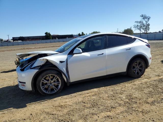 TESLA MODEL Y 2023 with VIN 7SAYGDEE5PF937774 - Photo from auction