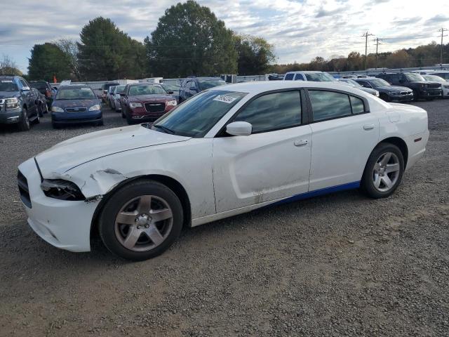 DODGE CHARGER PO 2014 with VIN 2C3CDXAG8EH287181 - Photo from auction
