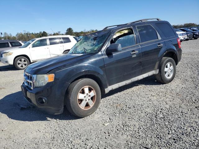 FORD ESCAPE XLT 2009 with VIN 1FMCU03G39KC19736 - Photo from auction