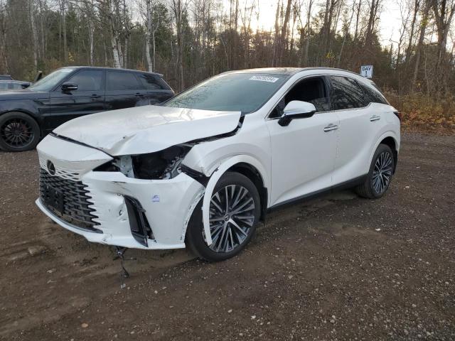 LEXUS RX 350H BA 2024 with VIN 2T2BBMCA9RC036864 - Photo from auction