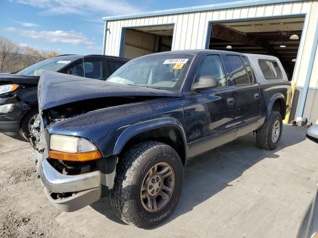 DODGE DAKOTA QUA 2004 with VIN 1D7HG48N24S528189 - Photo from auction