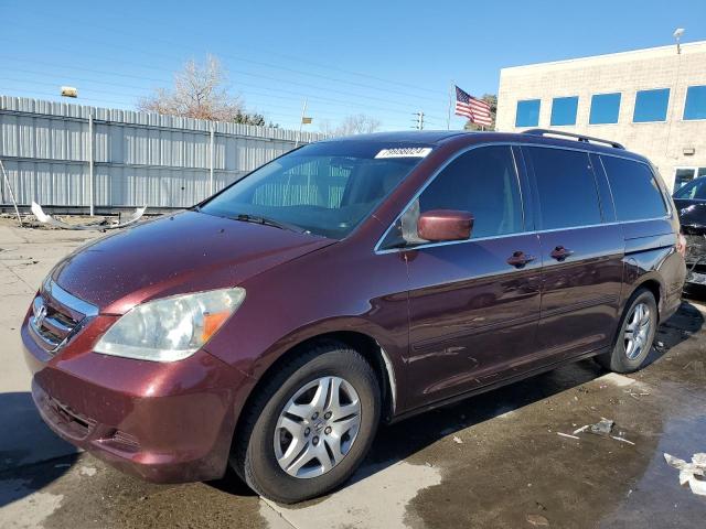 HONDA ODYSSEY EX 2007 with VIN 5FNRL38687B439340 - Photo from auction