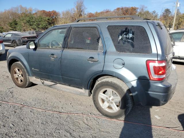 Photo 2 from auction – 2010 FORD ESCAPE HYB with VIN 1FMCU4K34AKB43907