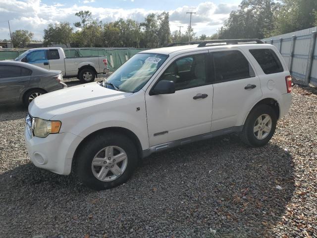 FORD ESCAPE HEV 2008 with VIN 1FMCU49H38KA16285 - Photo from auction