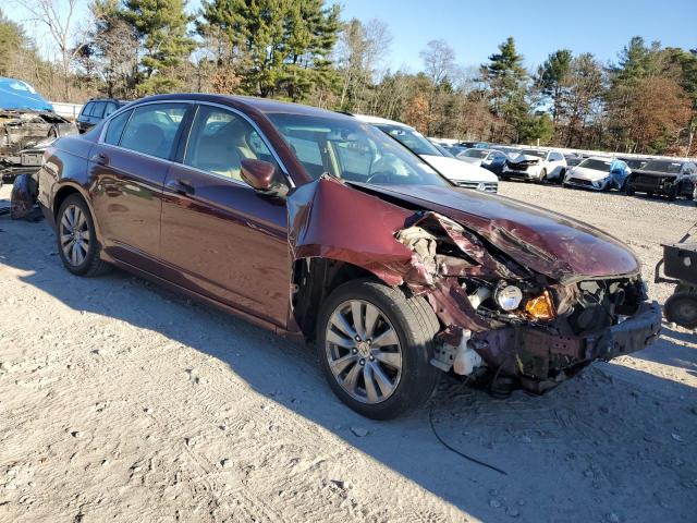 Photo 4 from auction – 2011 HONDA ACCORD EXL with VIN 1HGCP2F85BA131599