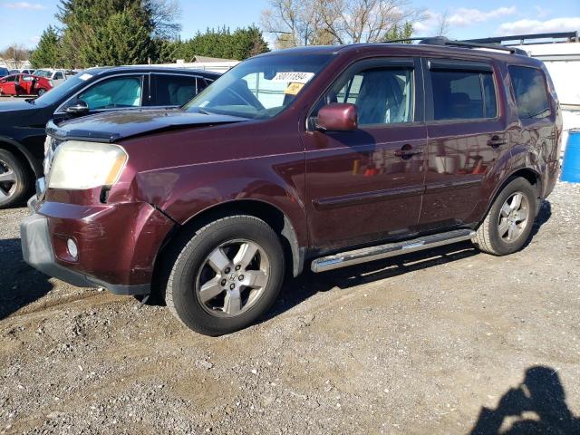 HONDA PILOT EXL 2011 with VIN 5FNYF4H59BB018753 - Photo from auction
