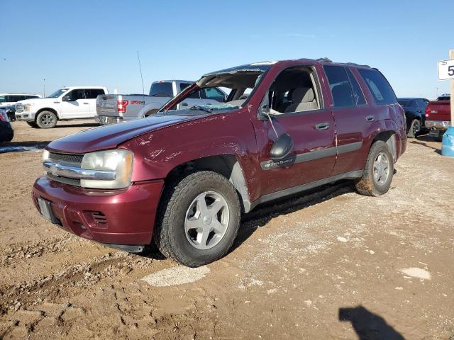 CHEVROLET TRAILBLAZE 2004 with VIN 1GNDT13S742285681 - Photo from auction