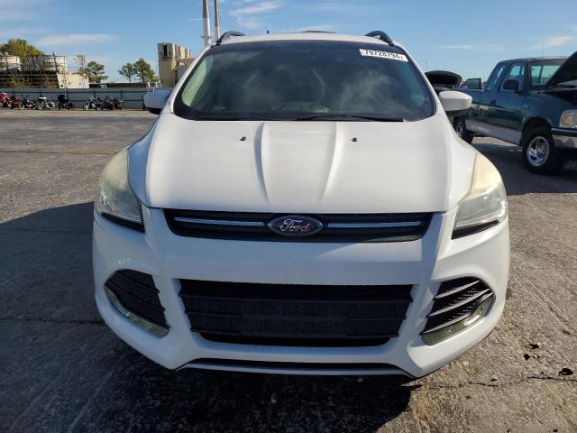 Photo 5 from auction – 2014 FORD ESCAPE SE with VIN 1FMCU0GX1EUA28793