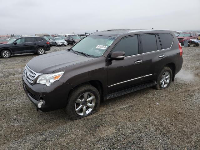 LEXUS GX 460 PRE 2012 with VIN JTJJM7FX9C5049496 - Photo from auction