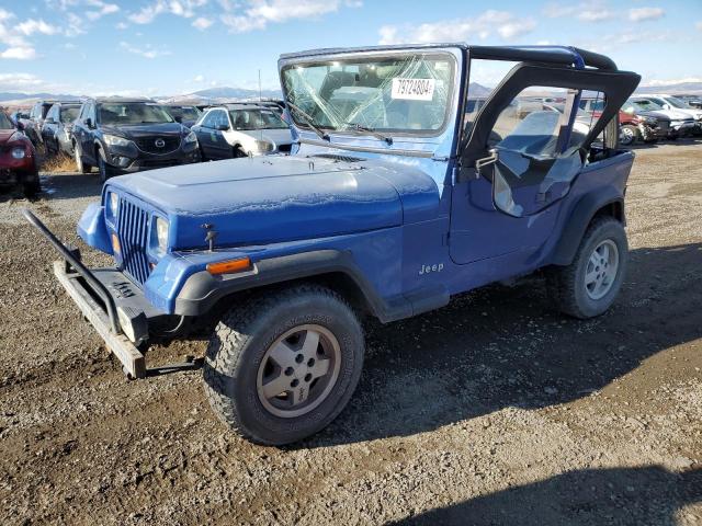 JEEP WRANGLER / 1995 with VIN 1J4FY19P8SP242032 - Photo from auction