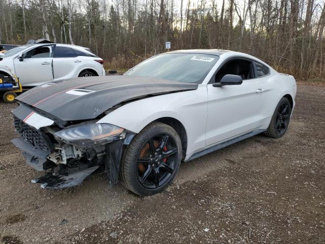 FORD MUSTANG 2019 with VIN 1FA6P8TH1K5105034 - Photo from auction