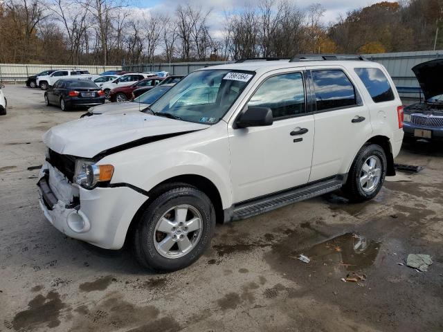 FORD ESCAPE XLT 2010 with VIN 1FMCU9D76AKB07116 - Photo from auction