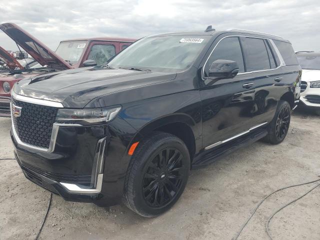 CADILLAC ESCALADE P 2023 with VIN 1GYS3BKL8PR353816 - Photo from auction
