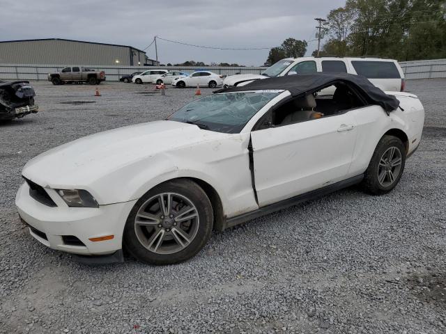 FORD MUSTANG 2012 with VIN 1ZVBP8EM0C5210682 - Photo from auction