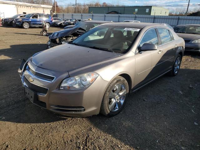 Photo 1 from auction – 2010 CHEVROLET MALIBU 2LT with VIN 1G1ZD5E08AF221824
