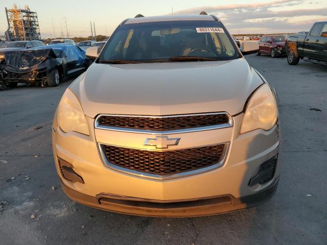 Photo 5 from auction – 2010 CHEVROLET EQUINOX LT with VIN 2CNALDEWXA6252973