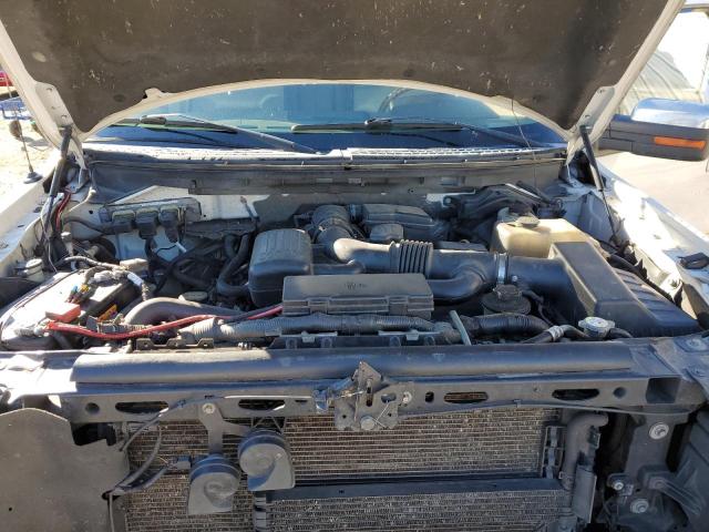 Photo 11 from auction – 2010 FORD F150 SUPER with VIN 1FTFW1EV1AFA51914