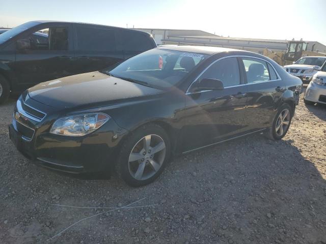 CHEVROLET MALIBU 1LT 2011 with VIN 1G1ZC5EUXBF137026 - Photo from auction