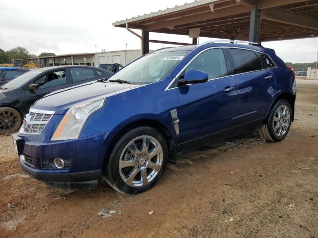 CADILLAC SRX PERFOR 2012 with VIN 3GYFNBE38CS532033 - Photo from auction