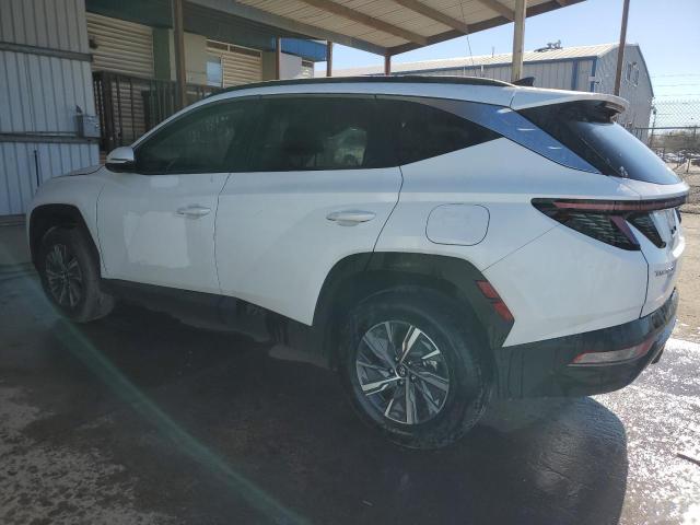 Photo 2 from auction – 2023 HYUNDAI TUCSON BLU with VIN KM8JBCA10PU130642