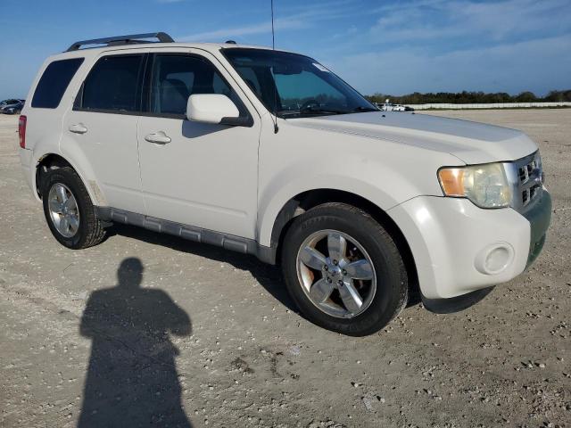 Photo 4 from auction – 2010 FORD ESCAPE LIM with VIN 1FMCU0EG6AKB64927