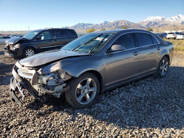 Photo 1 from auction – 2011 CHEVROLET MALIBU 1LT with VIN 1G1ZC5EU0BF136287