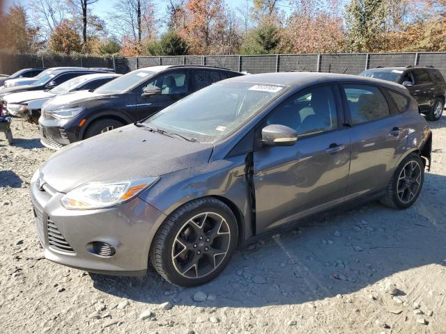 FORD FOCUS SE 2013 con VIN 1FADP3K22DL139733 - Foto de la subasta