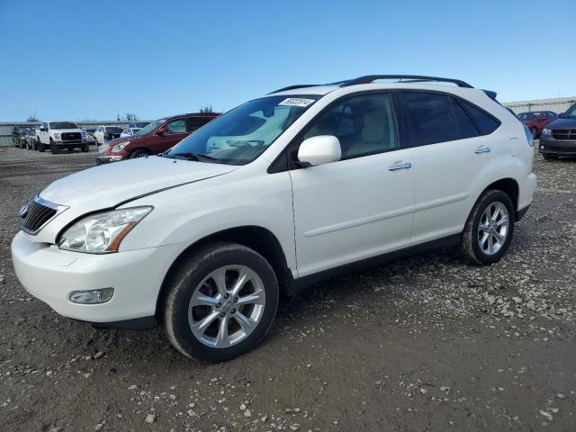 LEXUS RX 350 2008 with VIN 2T2HK31U18C075819 - Photo from auction