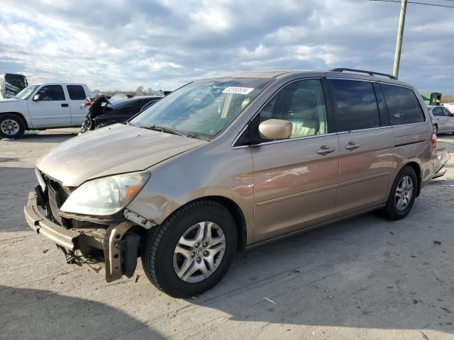 HONDA ODYSSEY EX 2006 with VIN 5FNRL38626B409569 - Photo from auction