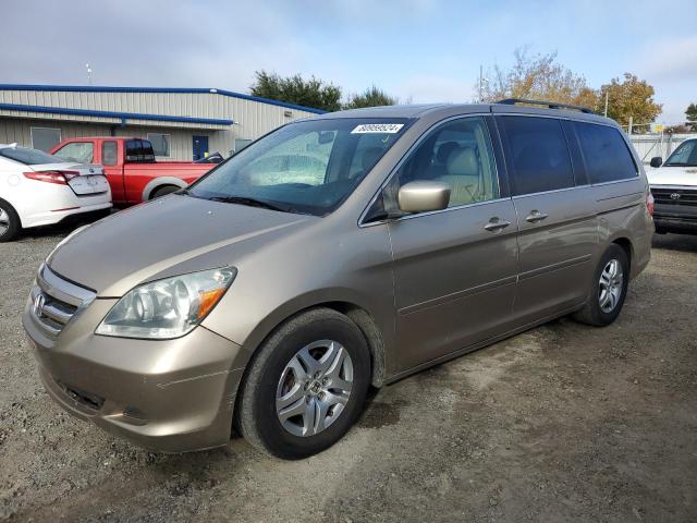 HONDA ODYSSEY EX 2005 with VIN 5FNRL38725B019272 - Photo from auction