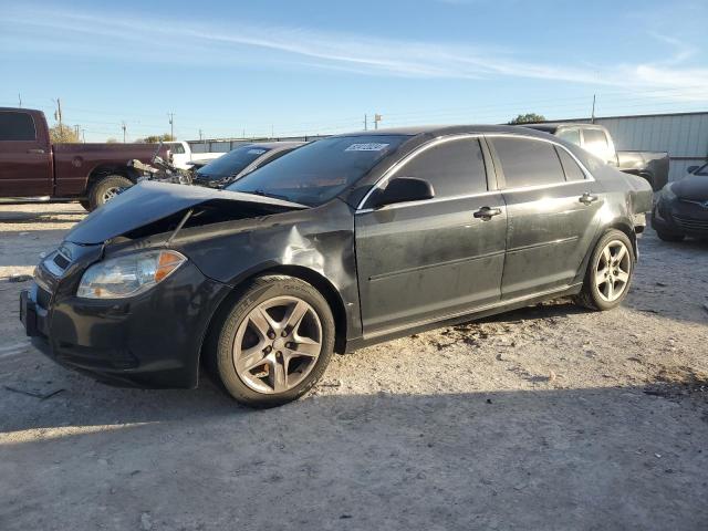CHEVROLET MALIBU LS 2012 with VIN 1G1ZA5E09CF385515 - Photo from auction
