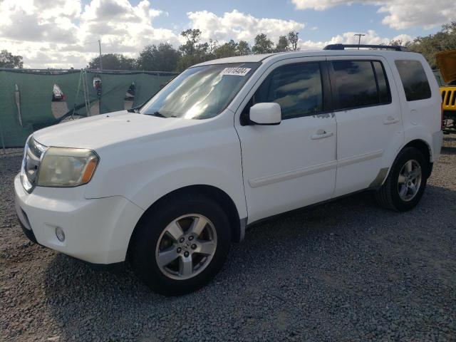 HONDA PILOT EXL 2009 with VIN 5FNYF38599B027344 - Photo from auction