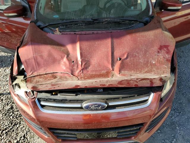 Photo 12 from auction – 2014 FORD ESCAPE TIT with VIN 1FMCU0J96EUB79574
