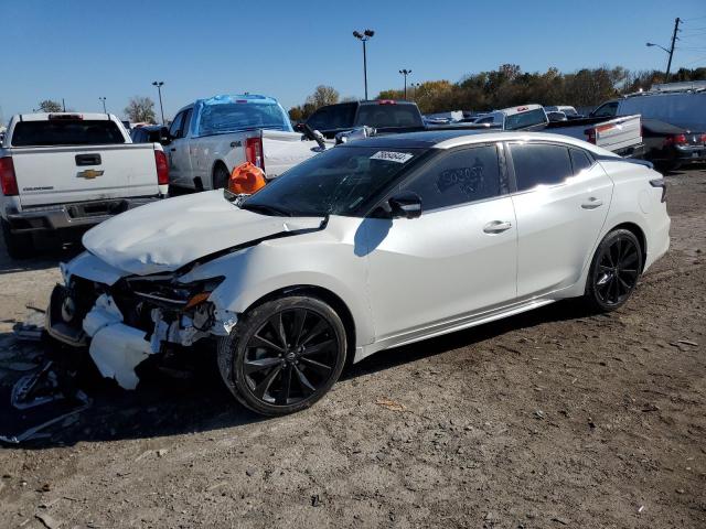 NISSAN MAXIMA SR 2023 with VIN 1N4AA6EV1PC503057 - Photo from auction