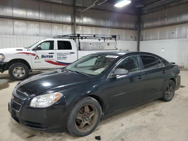 CHEVROLET MALIBU LS 2010 with VIN 1G1ZB5EB2AF205934 - Photo from auction