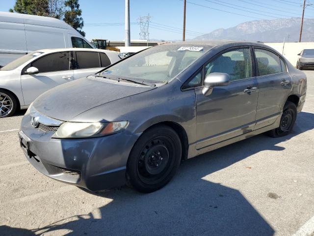 HONDA CIVIC LX 2010 with VIN 19XFA1F58AE032154 - Photo from auction