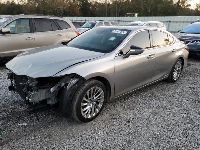 LEXUS ES 300H LU 2021 with VIN 58AEA1C17MU004448 - Photo from auction