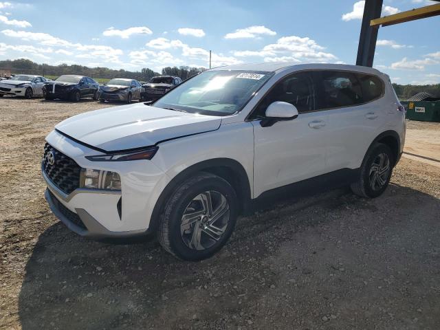HYUNDAI SANTA FE S 2023 with VIN 5NMS14AJ8PH647034 - Photo from auction