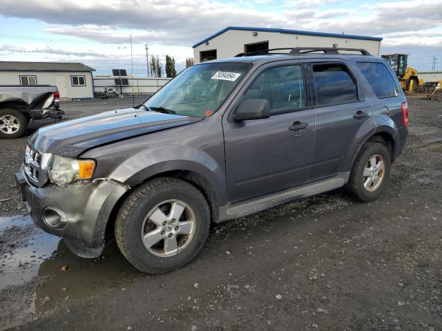 FORD ESCAPE XLT 2010 with VIN 1FMCU9D78AKA42575 - Photo from auction