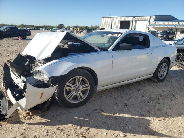 FORD MUSTANG 2014 with VIN 1ZVBP8AM4E5306159 - Photo from auction